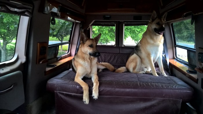 WP_20160505_17_10_02_Pro